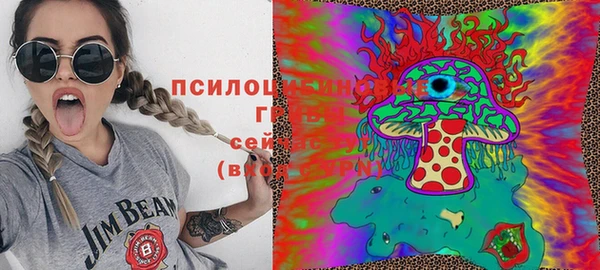 дмт Арсеньев