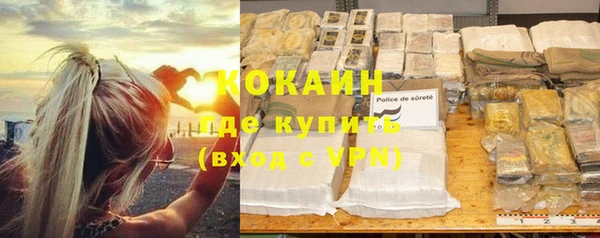 шишки Балахна
