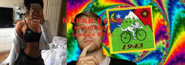 кокс Баксан
