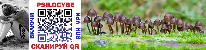 Галлюциногенные грибы Magic Shrooms  гидра онион  darknet как зайти  купить наркотики цена  Карачев 